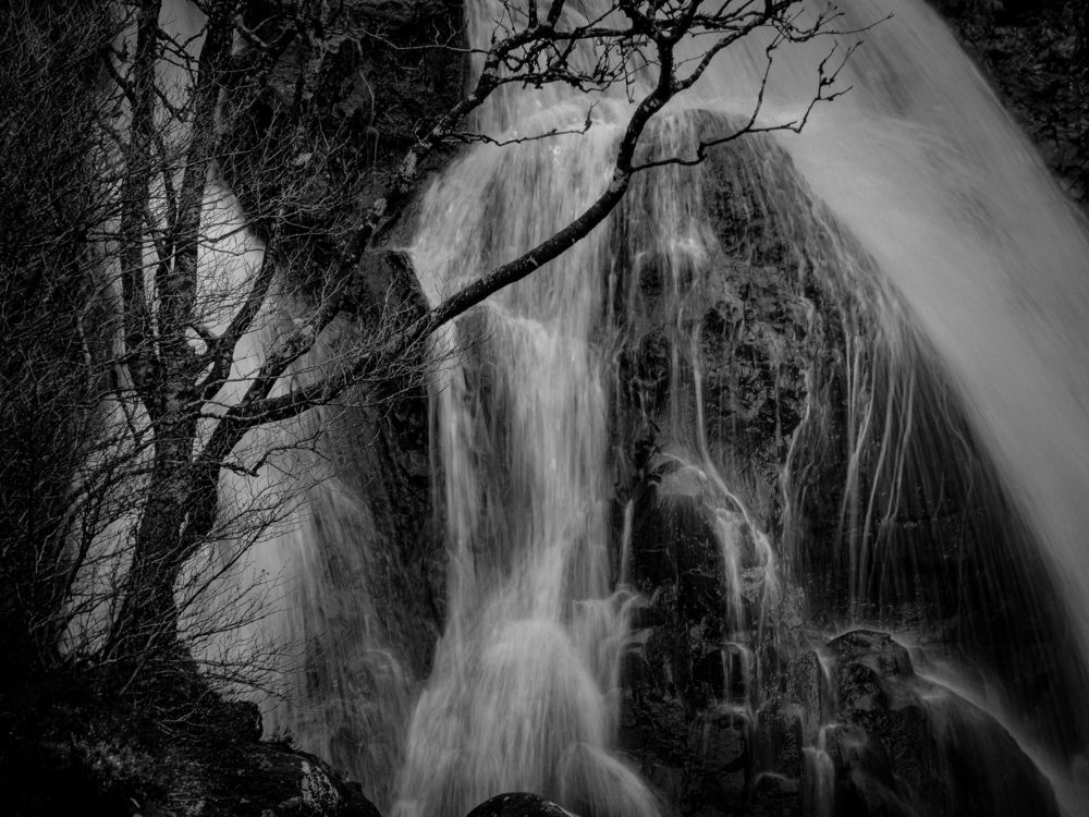 Photograph by Michael Gault