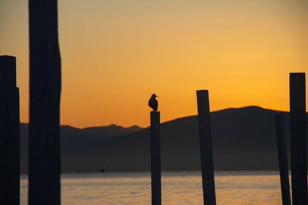 Photograph by Степан Конев