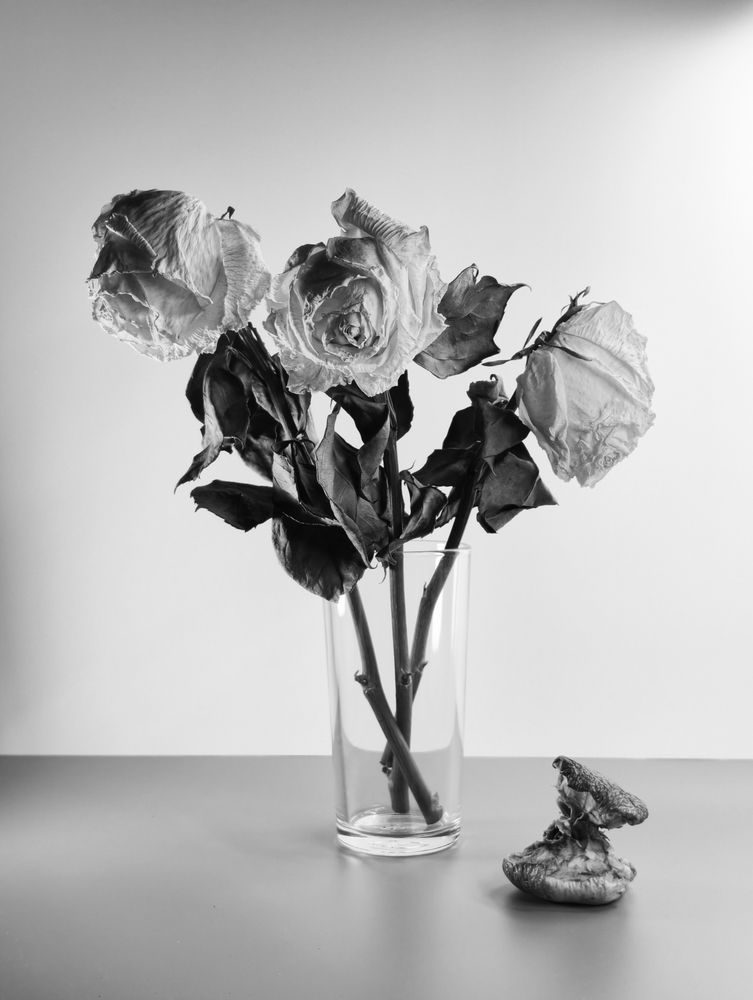 Фотография автора Мила