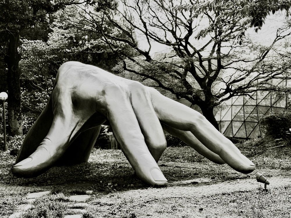 Фотография автора Алла Киселева