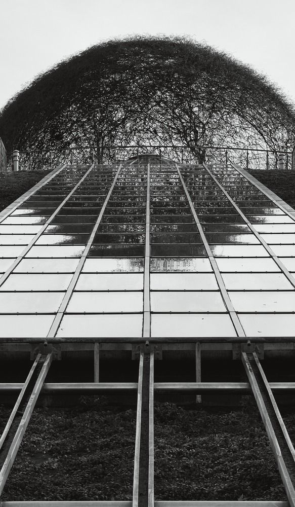 Photograph by Сергей Кислица