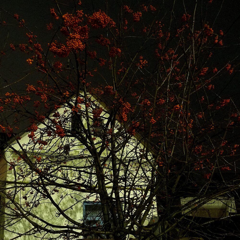 Photograph by Dmitry