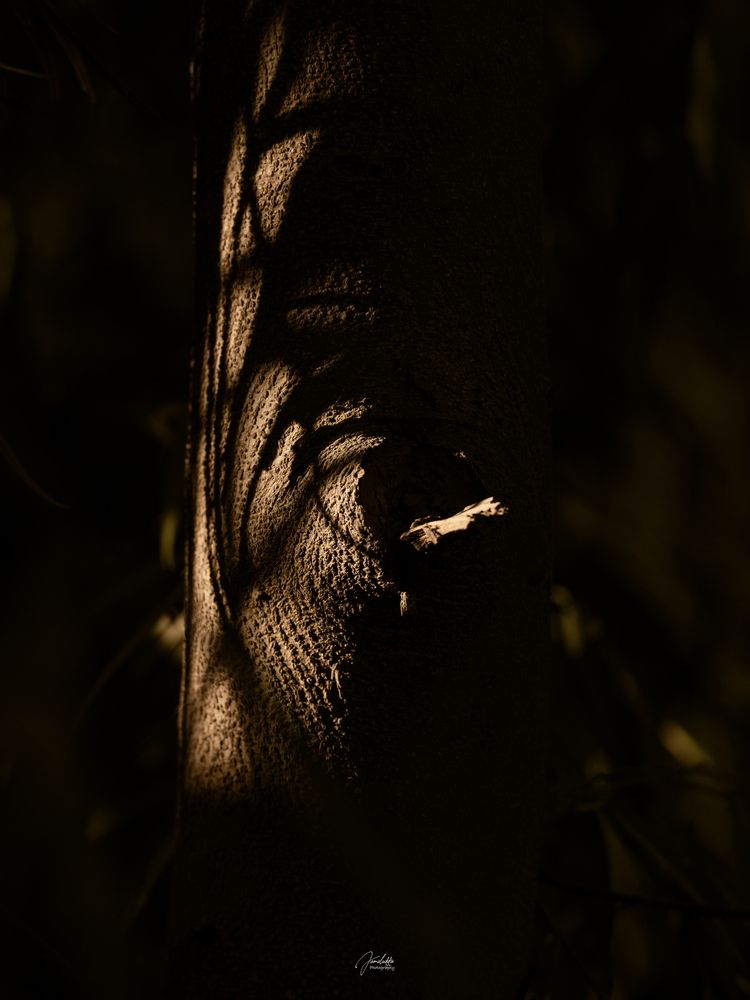 Photograph by Jamal Uddin