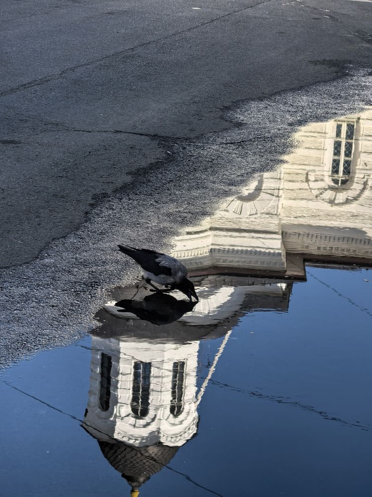 Photograph by Елена Охапкина