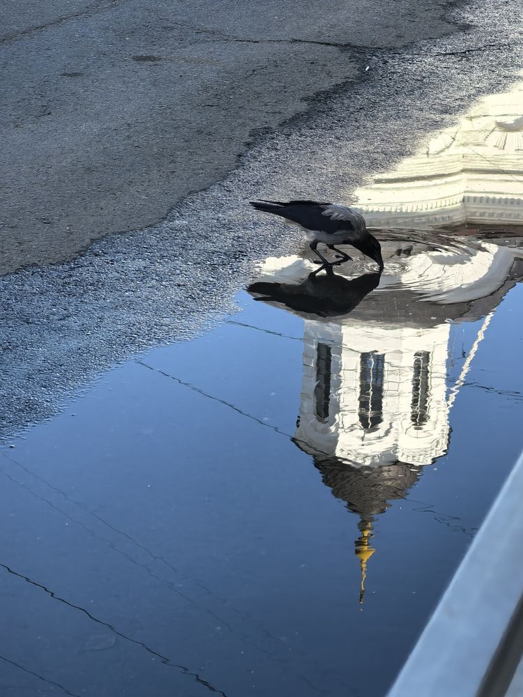 Photograph by Елена Охапкина