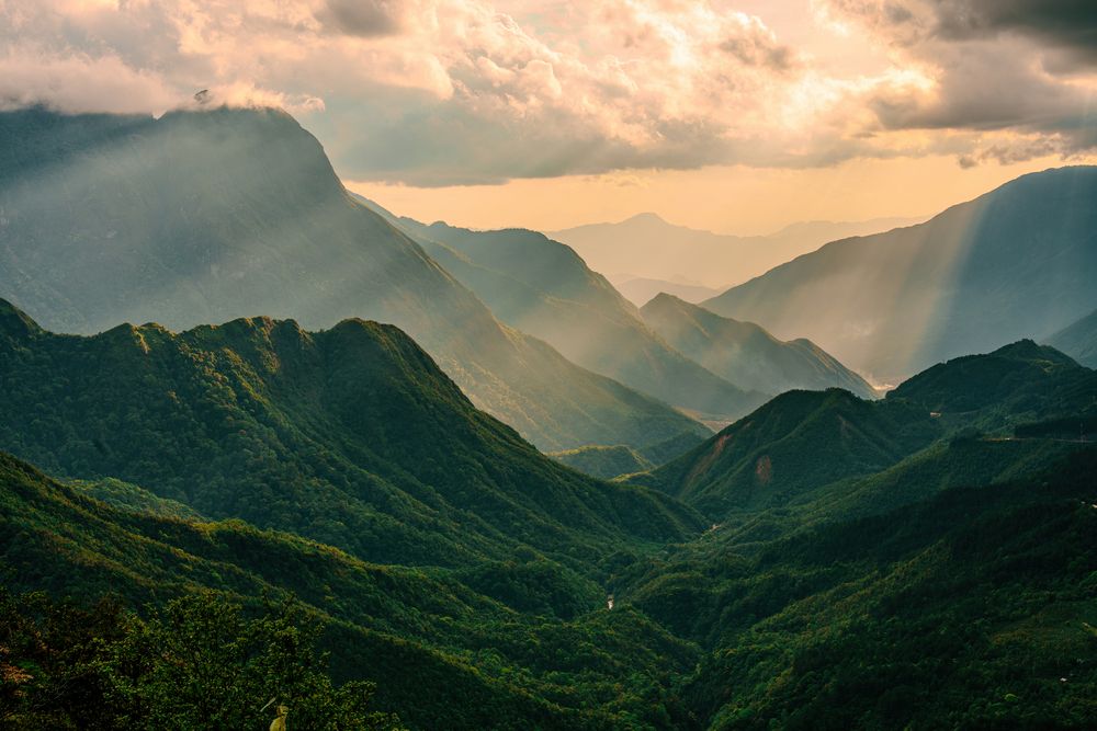 Valley of Light