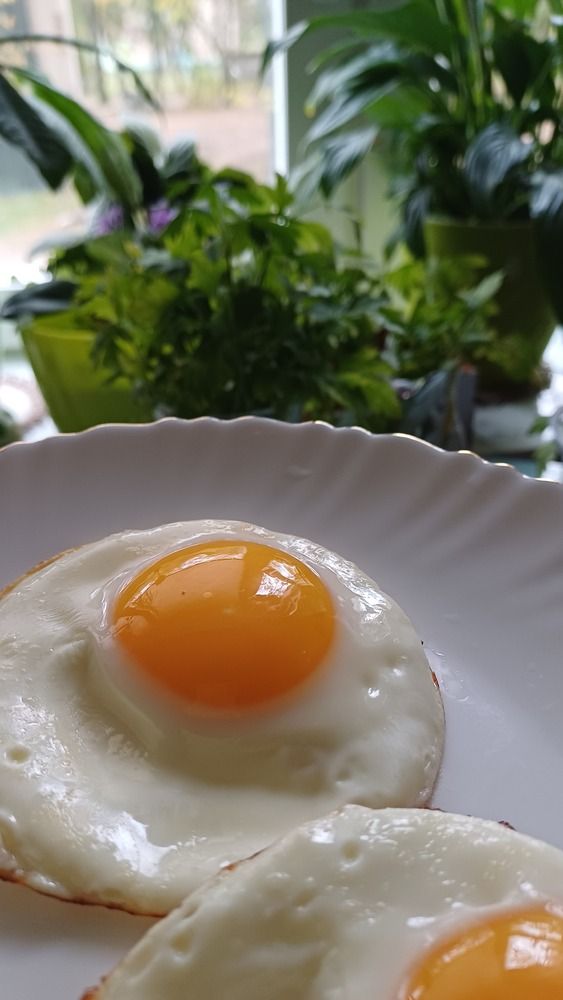 Photograph by Елена Воронова