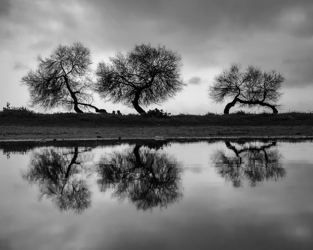 Photograph by Bekir istemi