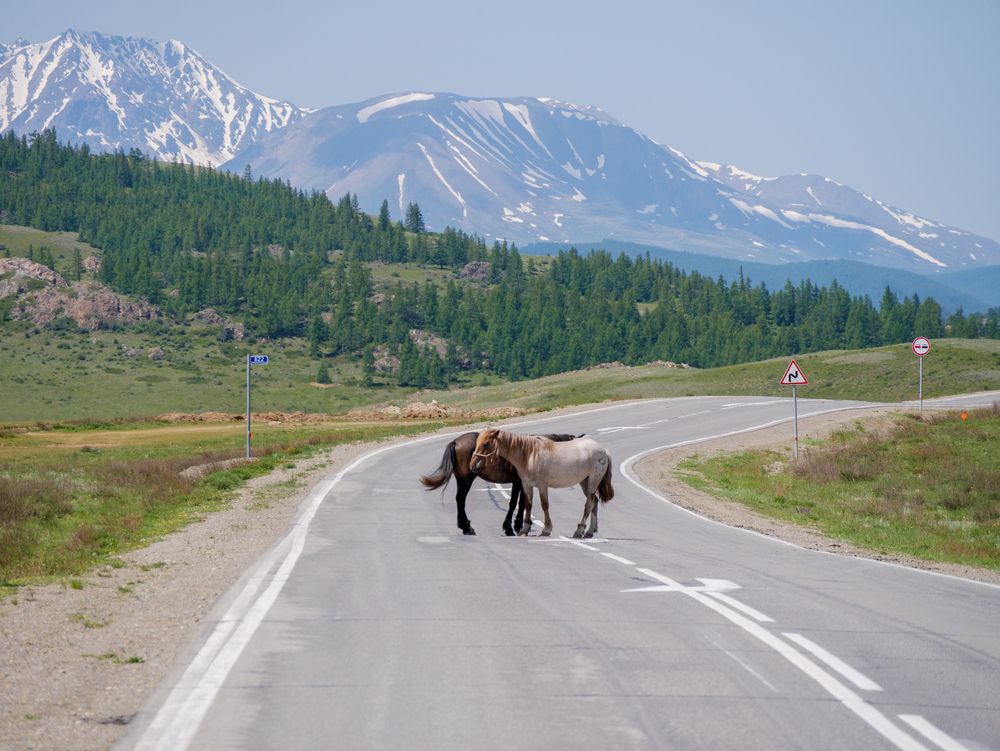 Photograph by Anton Y
