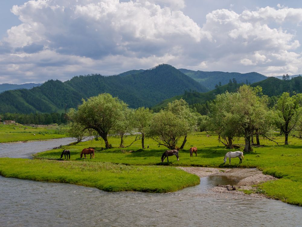 Photograph by Anton Y