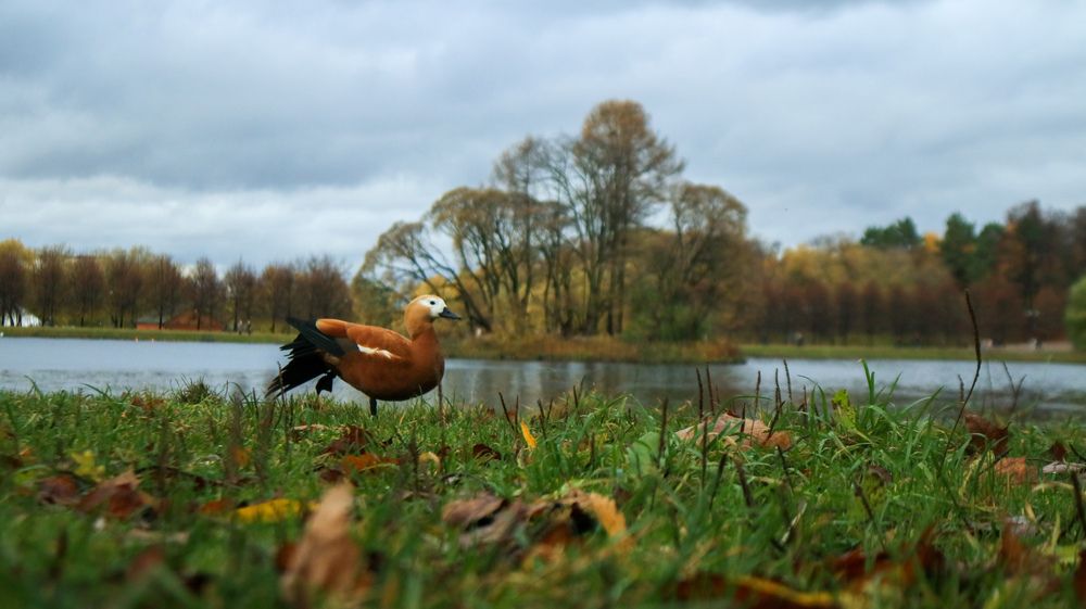 Photograph by Иван Бортяков