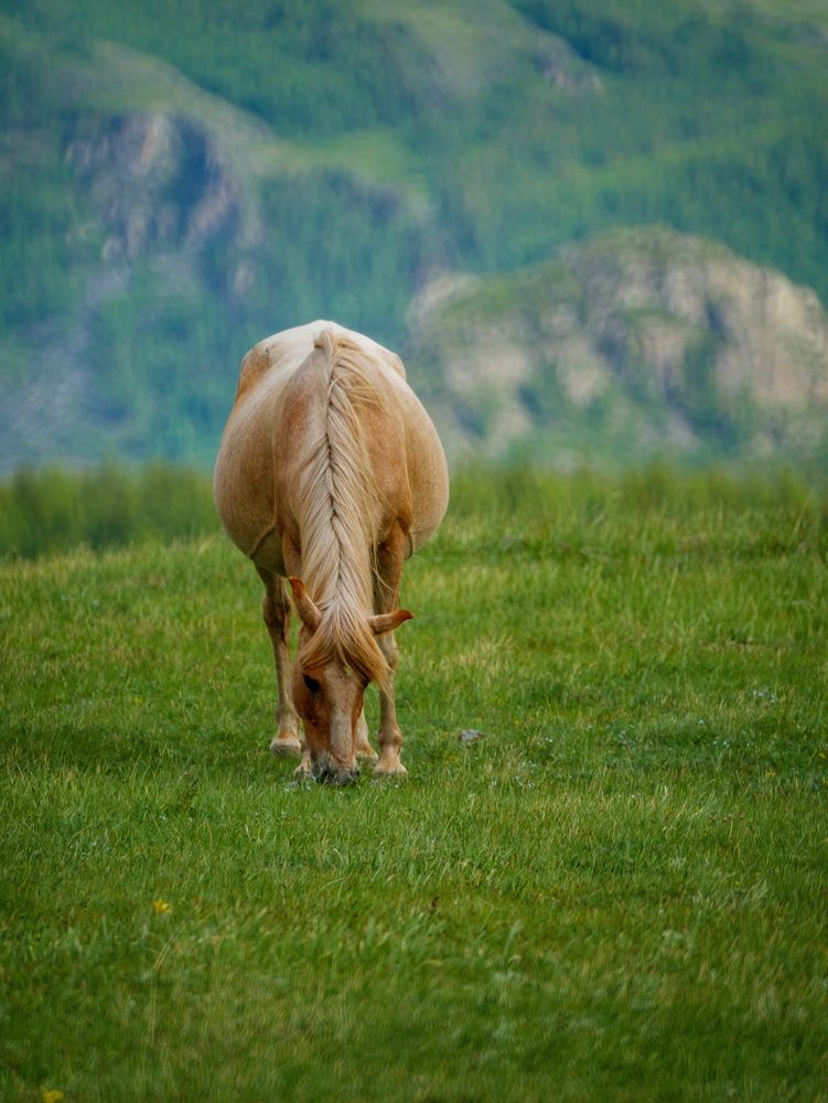 Photograph by Anton Y
