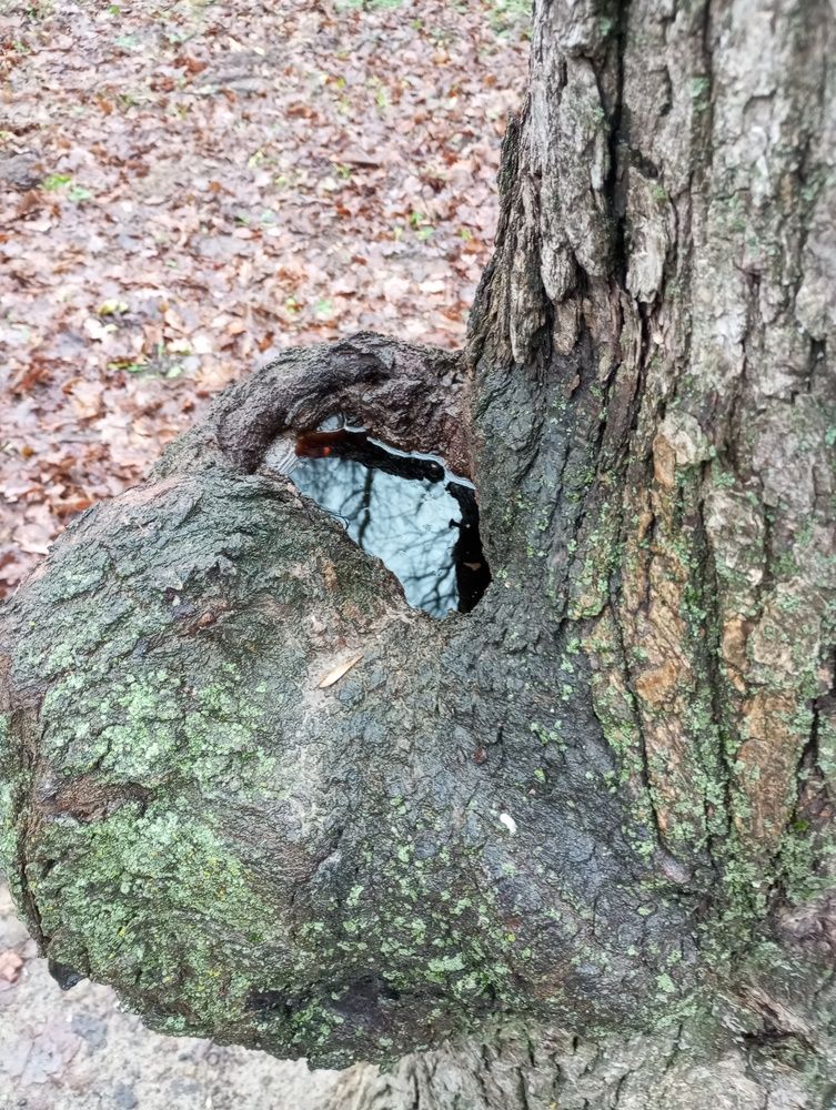 Photograph by Татьяна Кунц