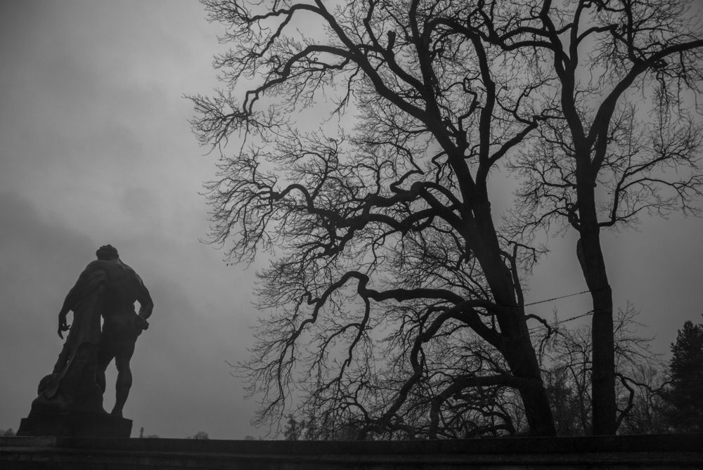 Photograph by Крутяков Арсений