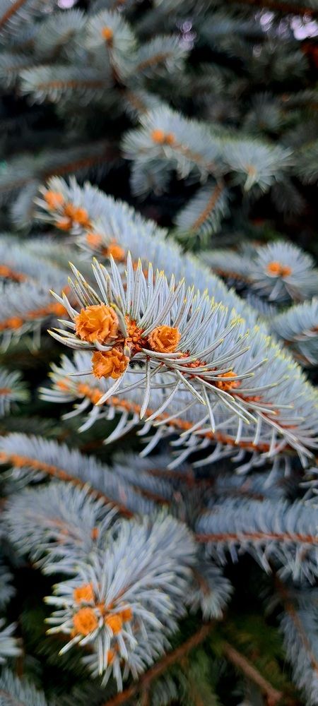 Photograph by Определенкова Ксения