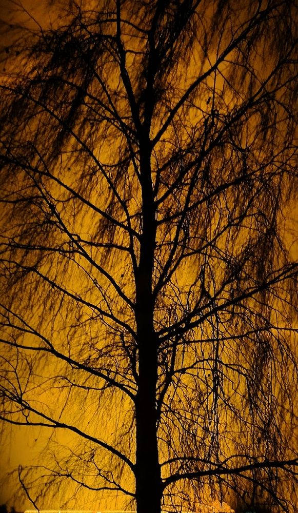 Фотография автора Виталий Миллер