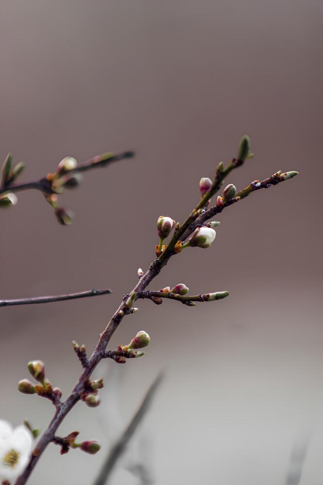 Photograph by Юлия Сысоева