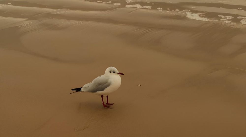 Photograph by Юлия Сысоева