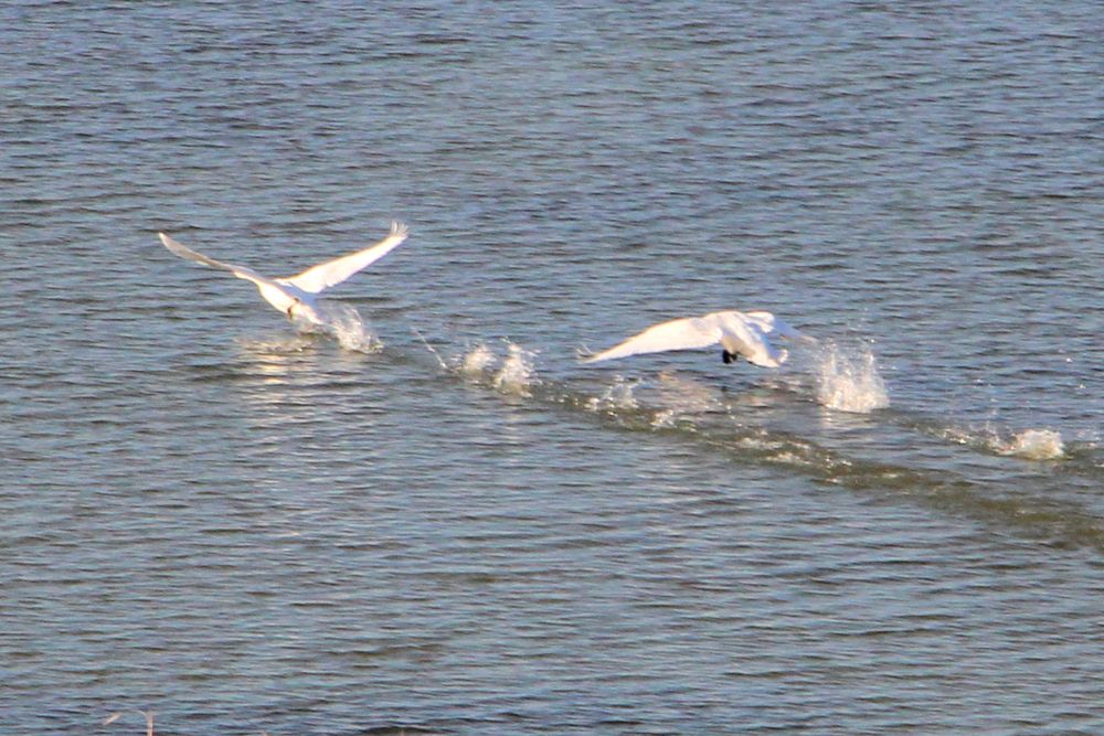 Photograph by Татьяна Иванникова