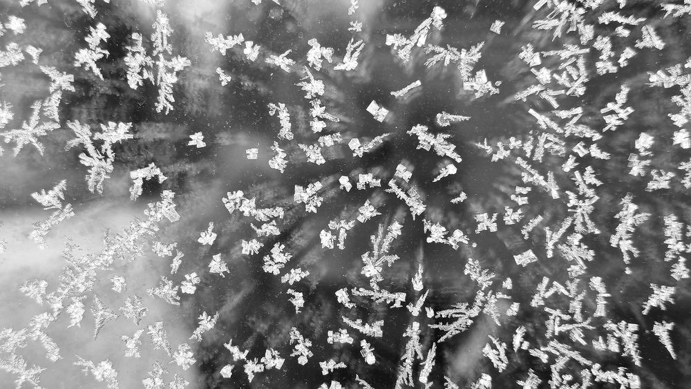 Фотография автора Юлия Стеценко