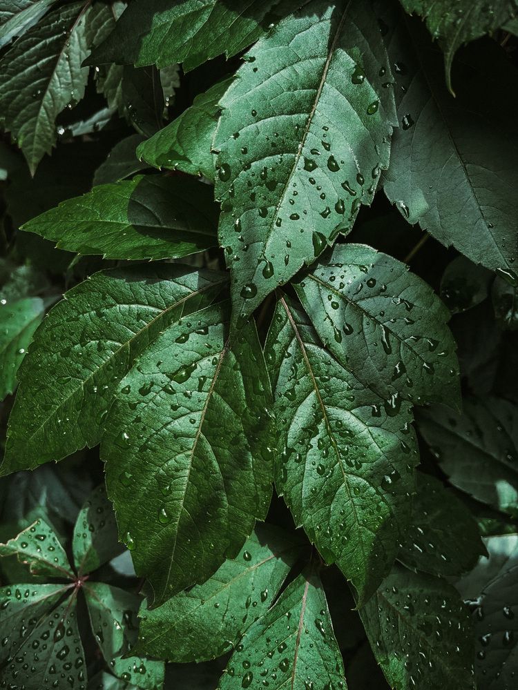 Photograph by Евгения Белякова