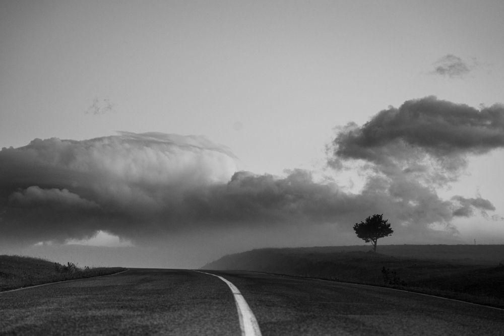 Photograph by Стеценко Александр