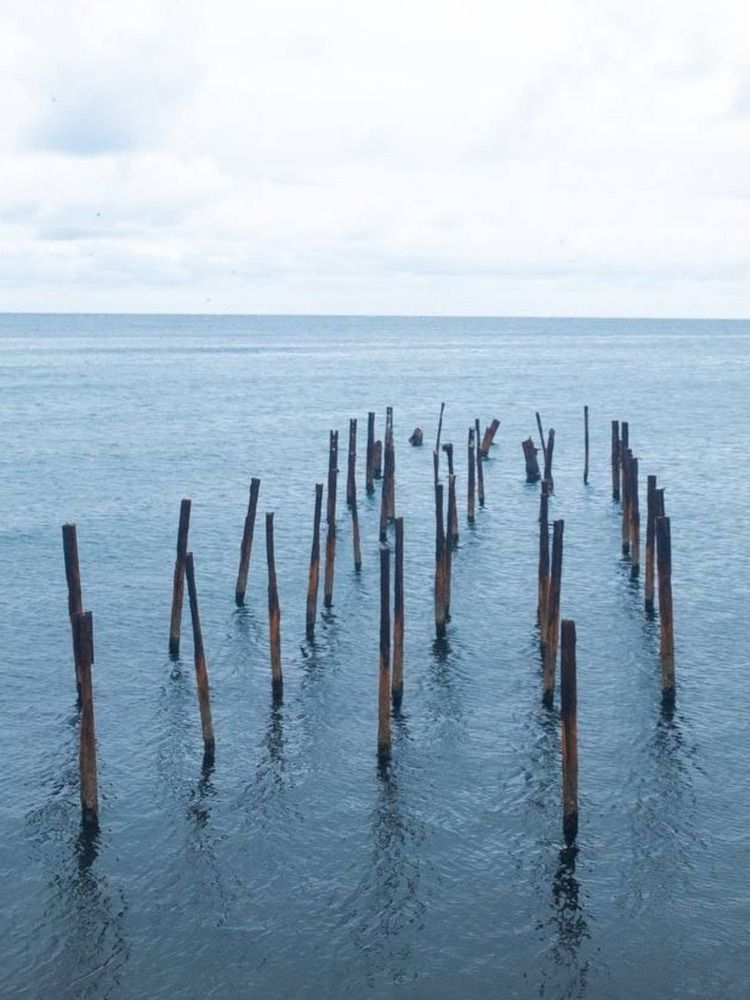 Photograph by Юлия Сысоева