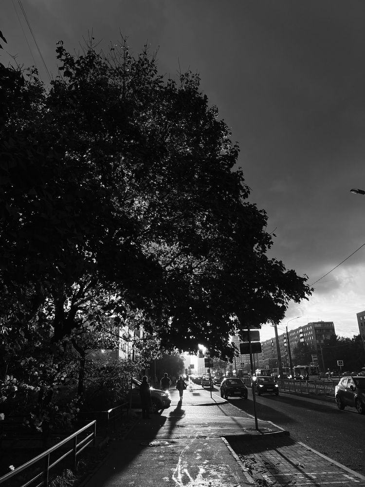 Photograph by Агата Петрова