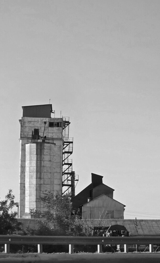 Photograph by Оксана Бессчетнова