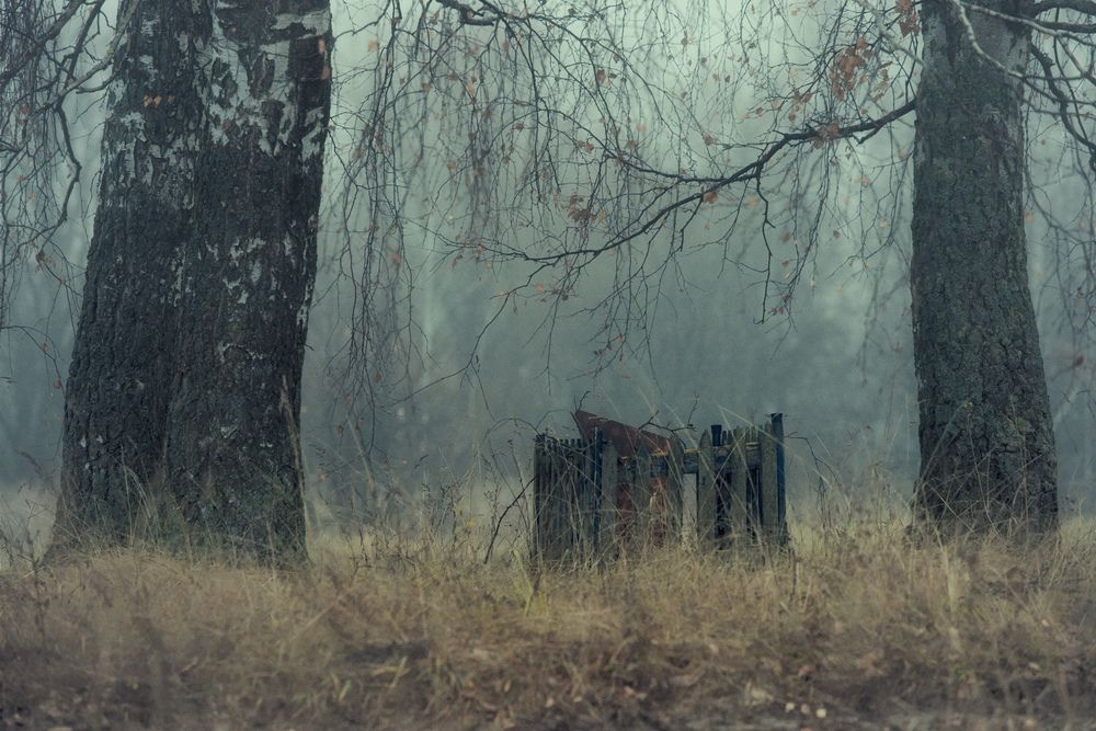 Photograph by Оля Васильева