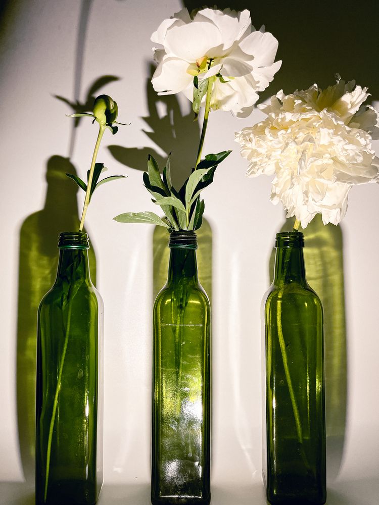 Фотография автора Регина Габдулхаева