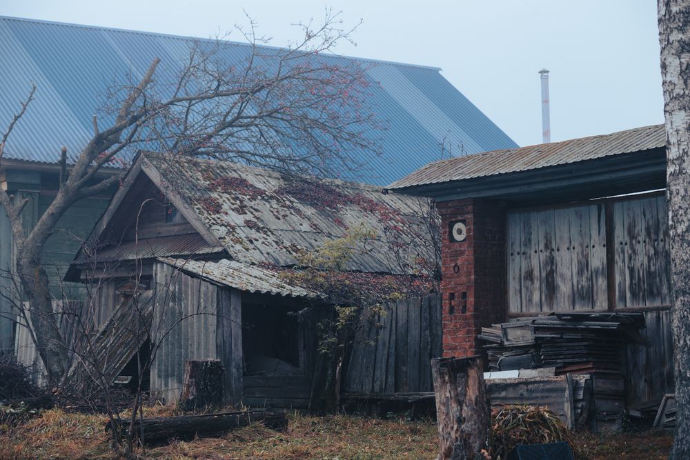 Photograph by Оля Васильева