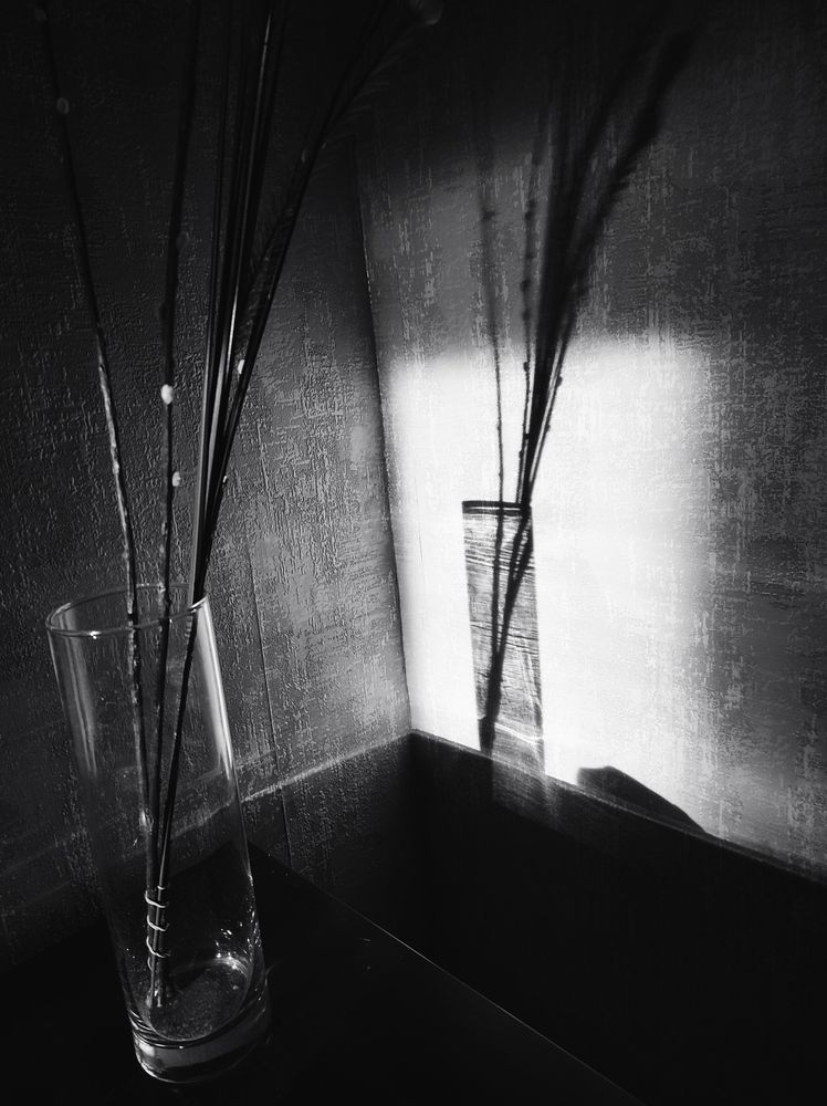 Photograph by Осадчая Анна