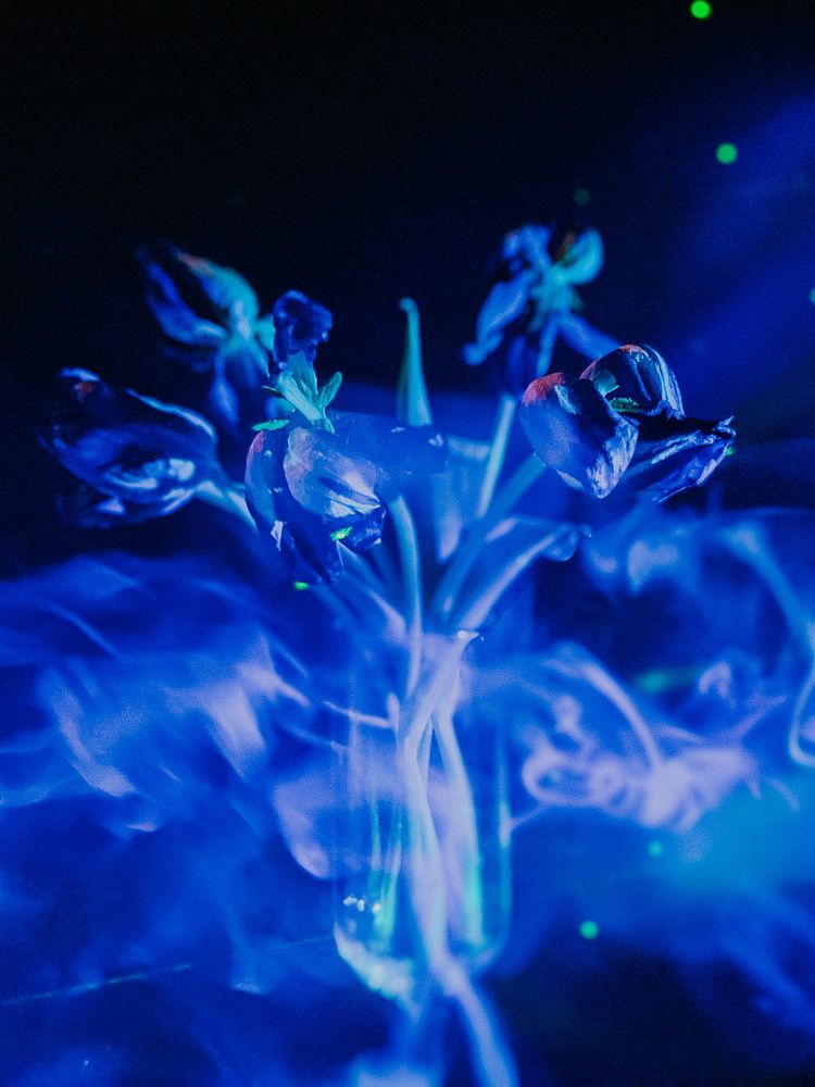 Photograph by Регина Габдулхаева