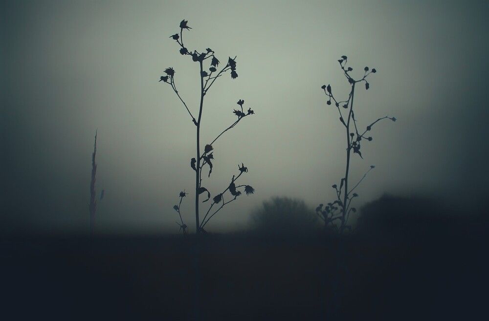 Photograph by Иван Чирков