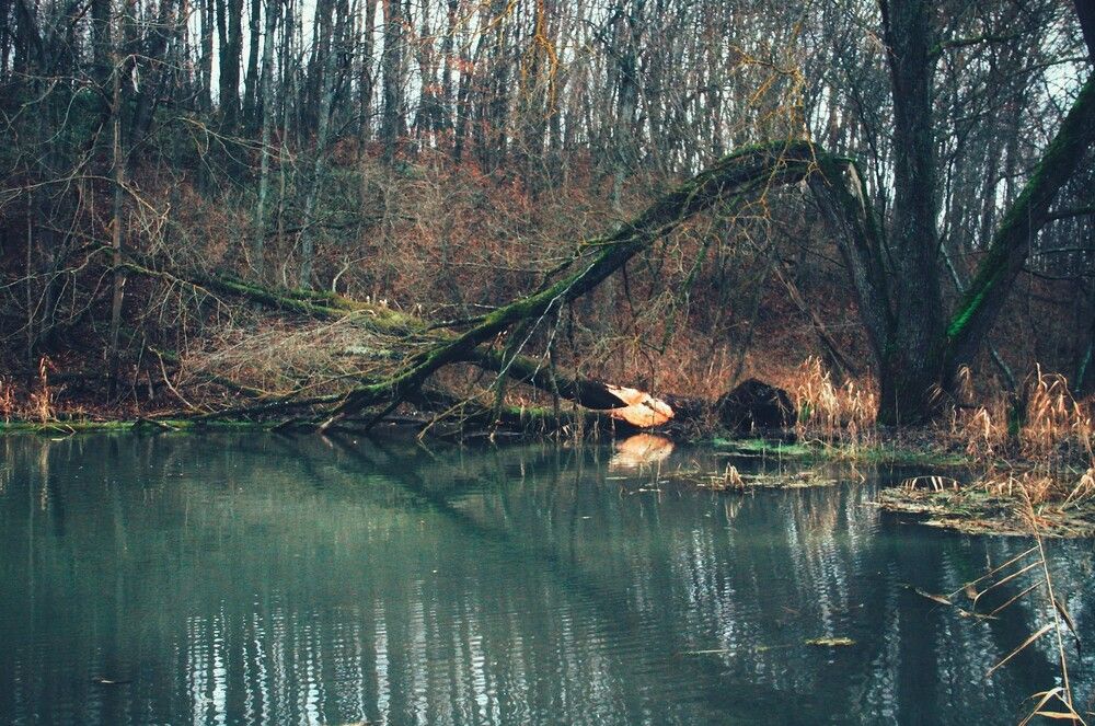 Photograph by Иван Чирков