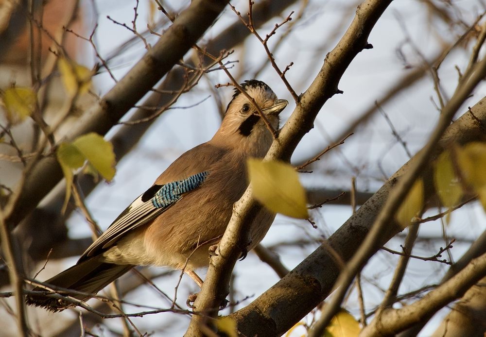 Photograph by Борис Захаров
