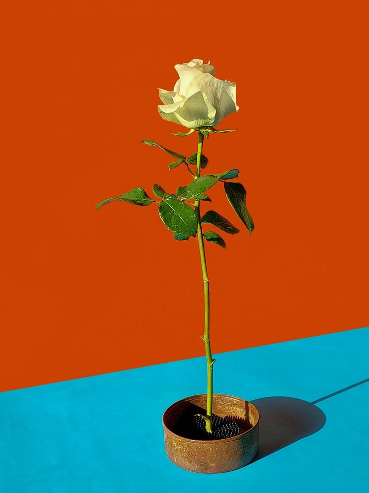 Photograph by Эмма Рахматуллина