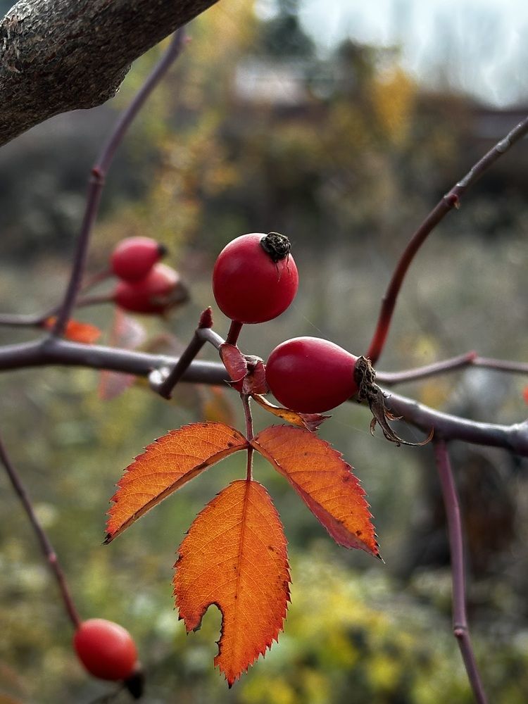 Photograph by Юлия