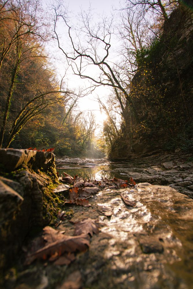 Photograph by Данил Варапаев