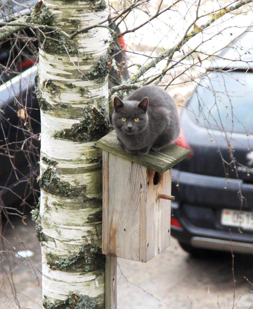 ВОСХОЖДЕНИЕ