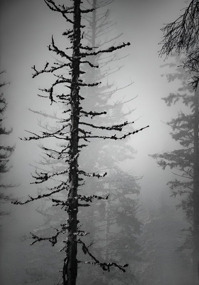 Photograph by Павел Ван