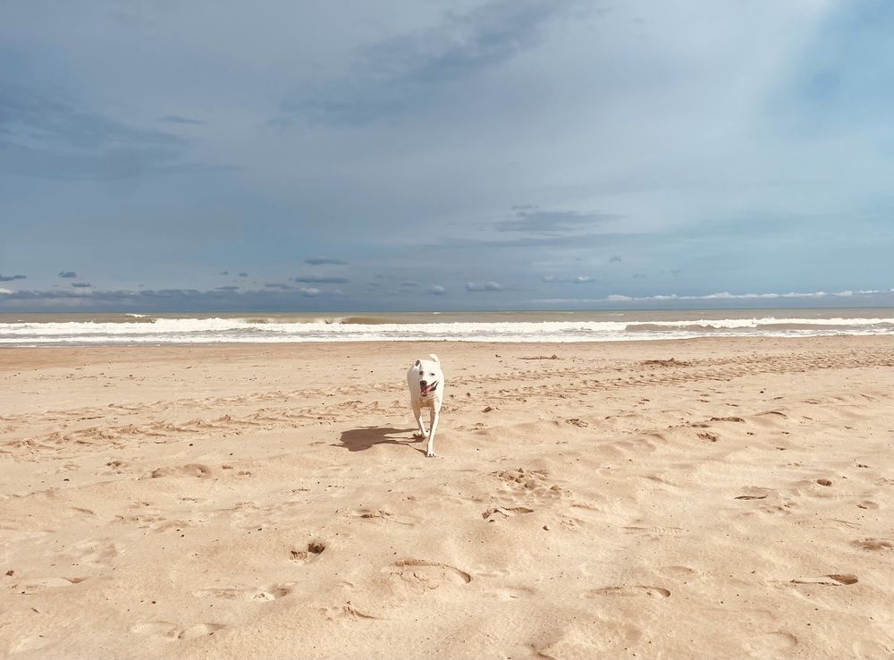 Photograph by Агнаев Андрей