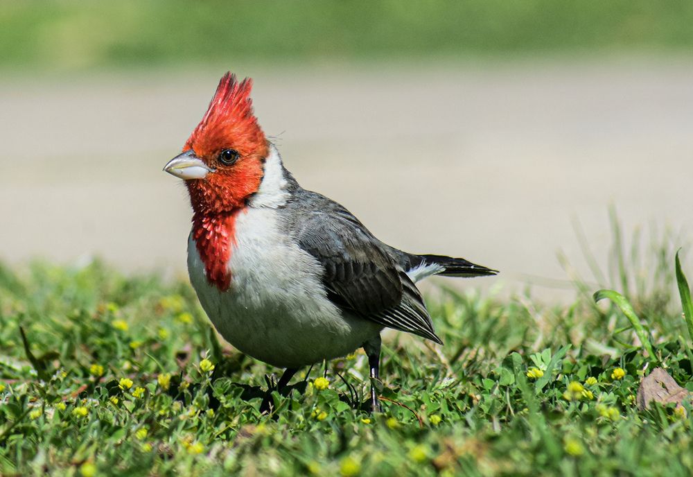 Photograph by Walter Fabián Gutiérrez