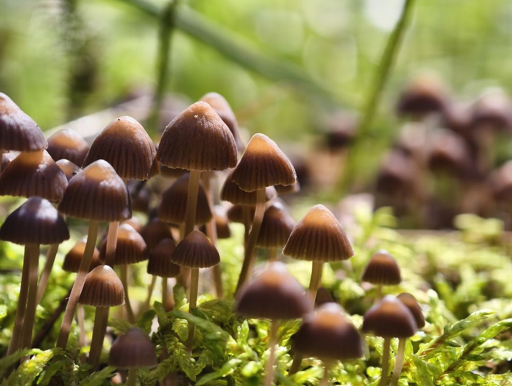 Photograph by Галина Бессуднова