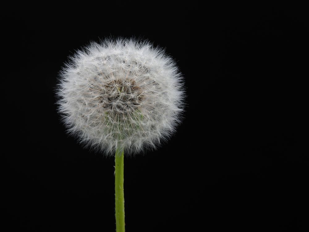 Фотография автора Дьяченко Игорь