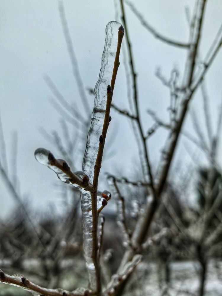 Photograph by Елена Оборник