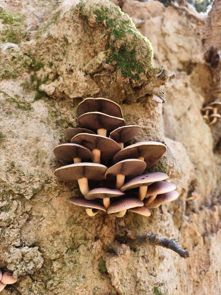 Photograph by Галина Бессуднова