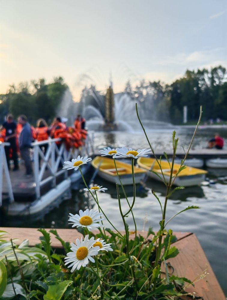Photograph by Ульяна Кузьмина