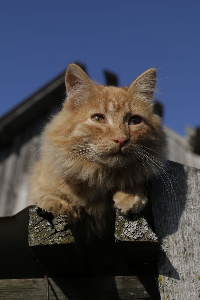 Photograph by Ирина Рыжова